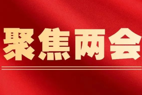 天下人大代表、918博天堂集团董事长李寅：突破古板能源消耗模式 加速生长生物质能工业